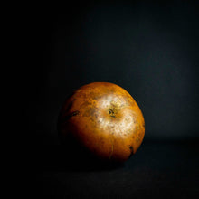 Load image into Gallery viewer, Vintage handcrafted calabash gourd with animal-inspired engravings