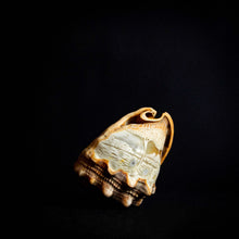 Load image into Gallery viewer, intricately engraved shell, showcasing the delicate details and natural textures of the piece.