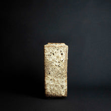 Load image into Gallery viewer, Beige and brown vase with grainy texture, perfect for home decor and displaying flowers.
