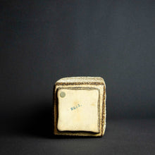 Load image into Gallery viewer, Beige and brown vase with grainy texture, perfect for home decor and displaying flowers.