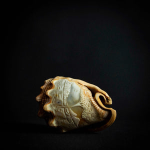 intricately engraved shell, showcasing the delicate details and natural textures of the piece.